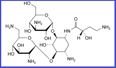 AMIKACIN EP IMPURITY H